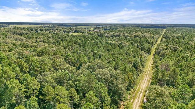 09 Old Beaumont, Sour Lake, TX 77659