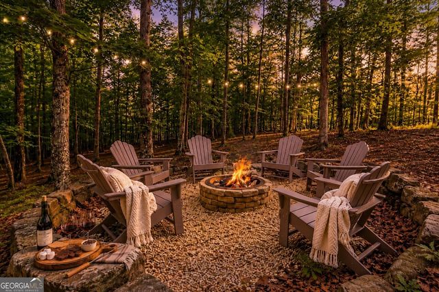 480 Pasha Drive, Ellijay, GA 30540
