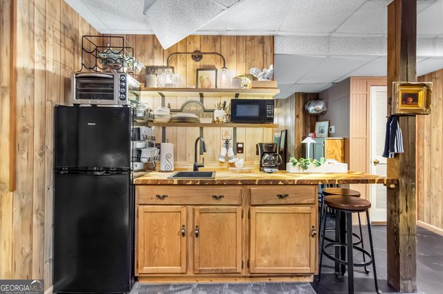 480 Pasha Drive, Ellijay, GA 30540
