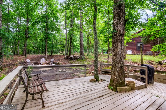 480 Pasha Drive, Ellijay, GA 30540