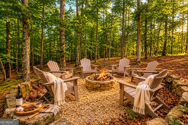 480 Pasha Drive, Ellijay, GA 30540