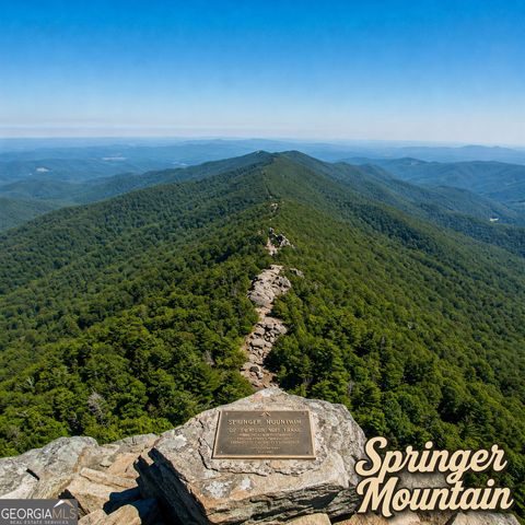480 Pasha Drive, Ellijay, GA 30540
