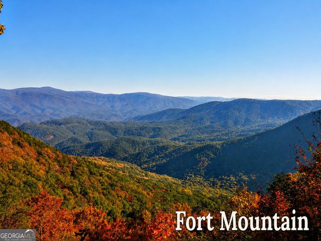480 Pasha Drive, Ellijay, GA 30540