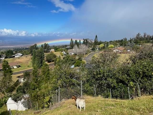 712 Upper Kimo Dr, Kula, HI 96790