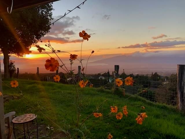 712 Upper Kimo Dr, Kula, HI 96790