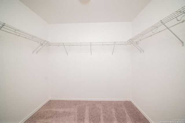 10158 Castello Canyon, San Antonio, TX 78254