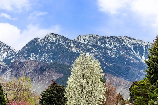 8626 S SCOTTISH DR, Cottonwood Heights, UT 84093