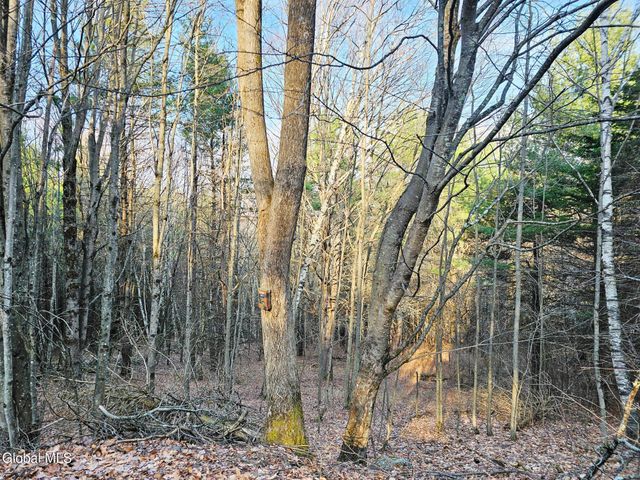 224 High Pine Meadows Road, Fulton, NY 12122