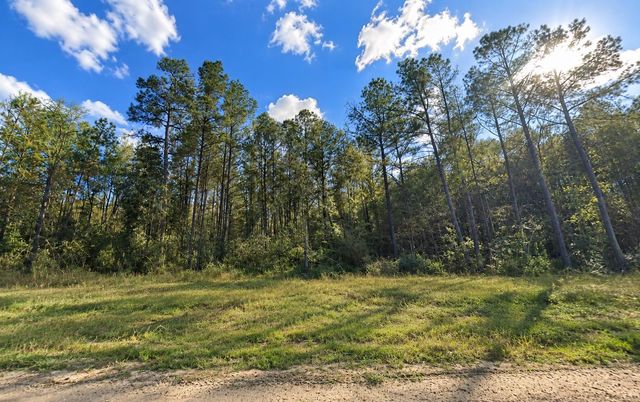 12939 Oak Barrel Road, Willis, TX 77378