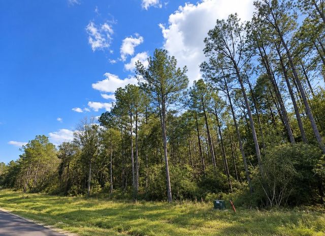 12939 Oak Barrel Road, Willis, TX 77378