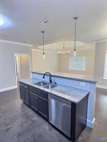 104 Ivy Vine Drive, Toney, AL 35773