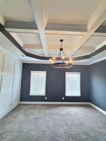 104 Ivy Vine Drive, Toney, AL 35773