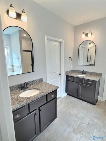 104 Ivy Vine Drive, Toney, AL 35773