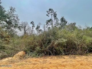 0 Tamarac Road, Marianna, FL 32448