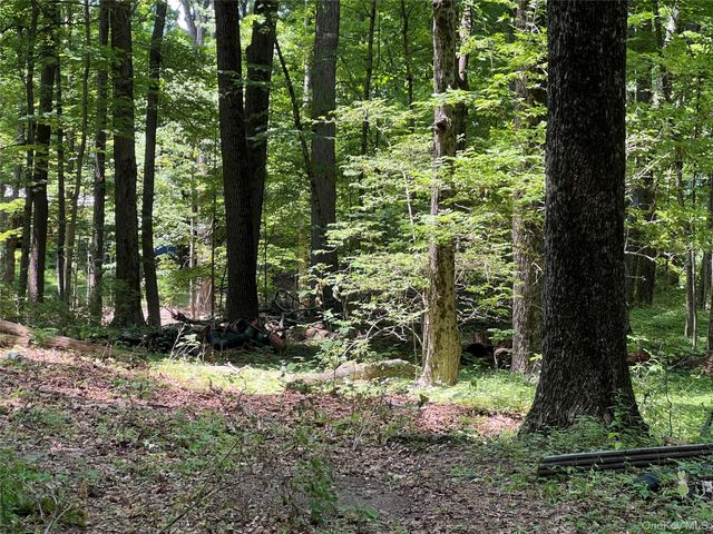 25 Hornbeck Ridge, Poughkeepsie, NY 12603