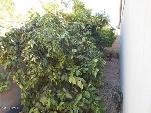 6532 W LUPINE Avenue, Glendale, AZ 85304