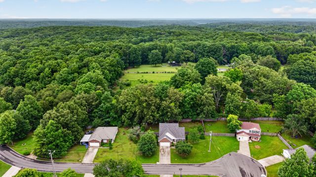 7300 Hidden Lake Cir, Fairview, TN 37062
