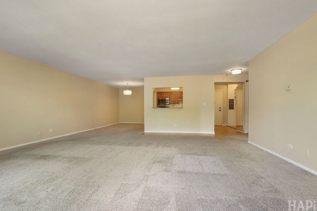 925 SPRINGHILL Drive 202, Northbrook, IL 60062