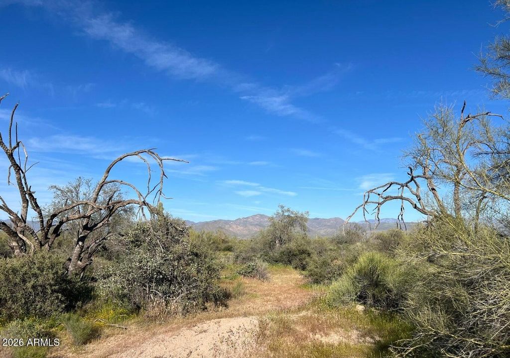168xx N 168 Street -, Rio Verde, AZ 85263 — photo 4