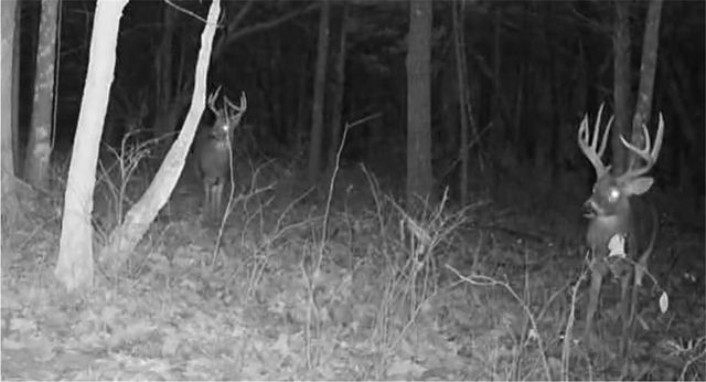 37690 US 169 Highway, Osawatomie, KS 66064