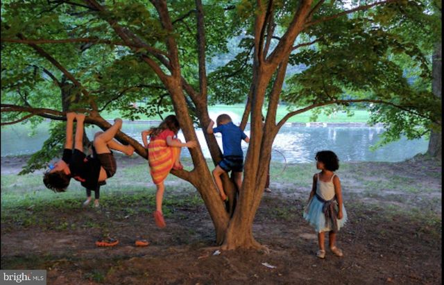 37 W MAPLEWOOD MALL, Philadelphia, PA 19144