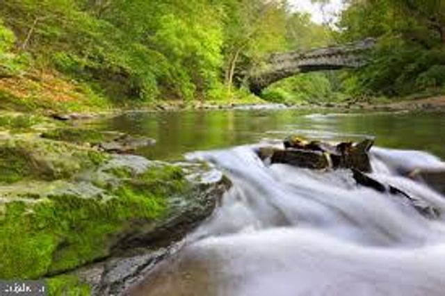 37 W MAPLEWOOD MALL, Philadelphia, PA 19144