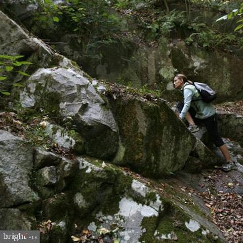 37 W MAPLEWOOD MALL, Philadelphia, PA 19144