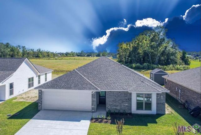 1192 Marlena Meadows Drive, Gonzales, LA 70737