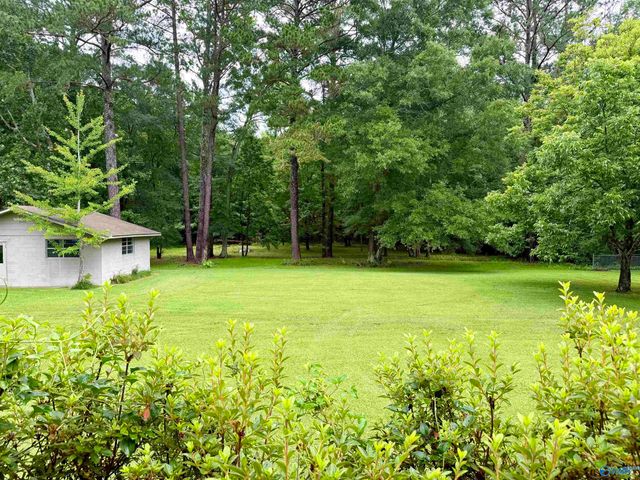 1412 Cove Creek Drive, Glencoe, AL 35905