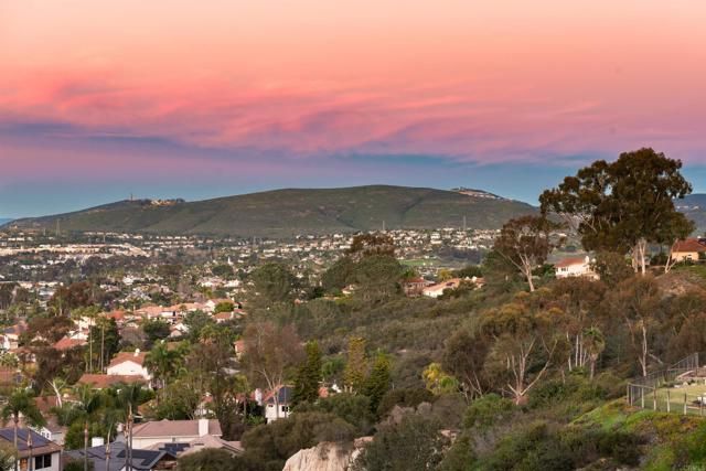 1619 N Willowspring Drive, Encinitas, CA 92024