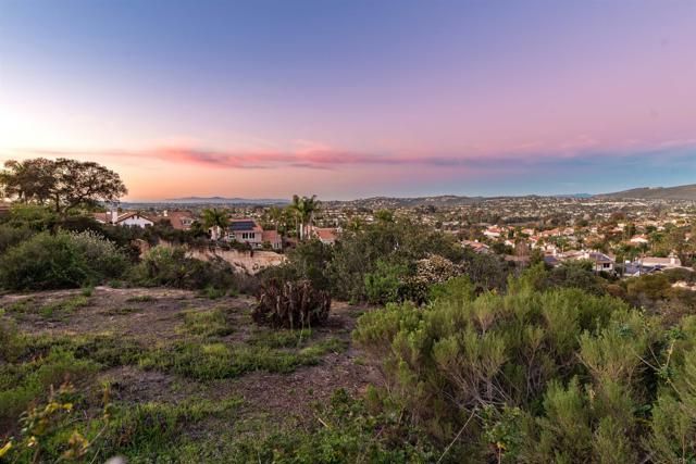 1619 N Willowspring Drive, Encinitas, CA 92024