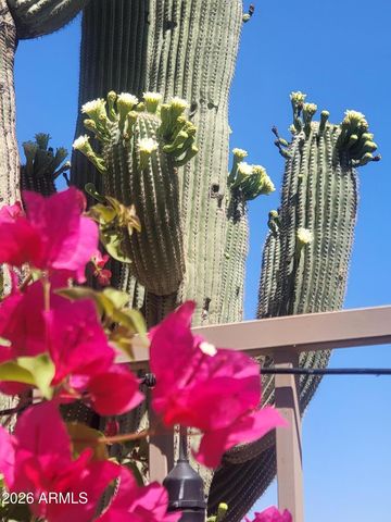 13533 N MANZANITA Lane, Fountain Hills, AZ 85268
