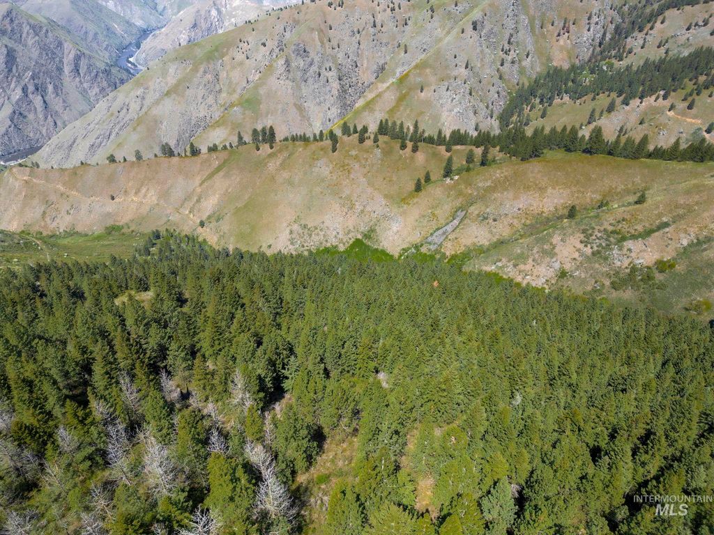 TBD Lightning Creek, Riggins, ID 83549 photo 4