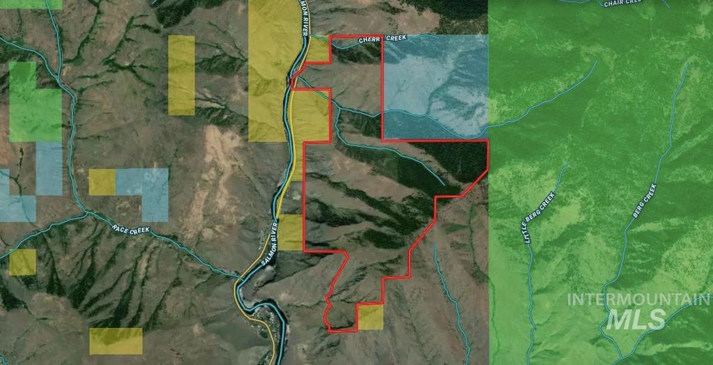 TBD Lightning Creek, Riggins, ID 83549 photo 5