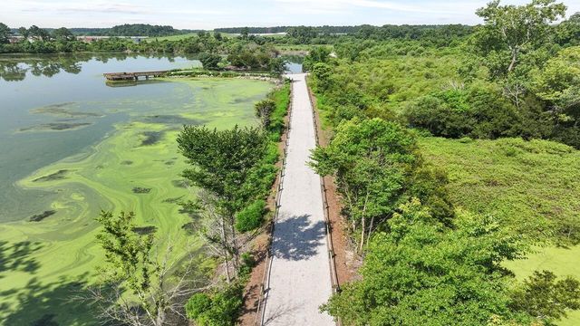 423 Wild Olive Drive, Moncks Corner, SC 29461