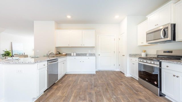 423 Wild Olive Drive, Moncks Corner, SC 29461