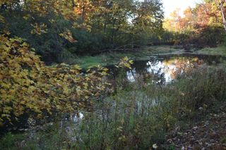 5470 Rowland Road, Hopkins, MN 55343