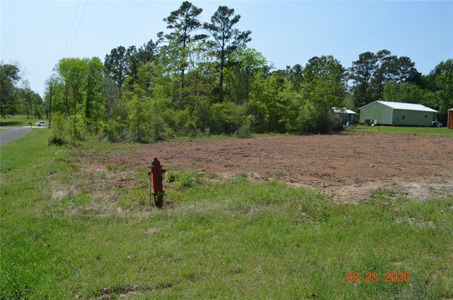 TBD Laurel Drive, Livingston, TX 77351