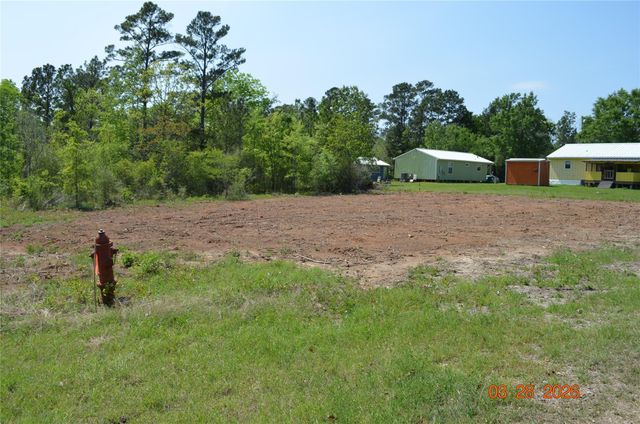 TBD Laurel Drive, Livingston, TX 77351
