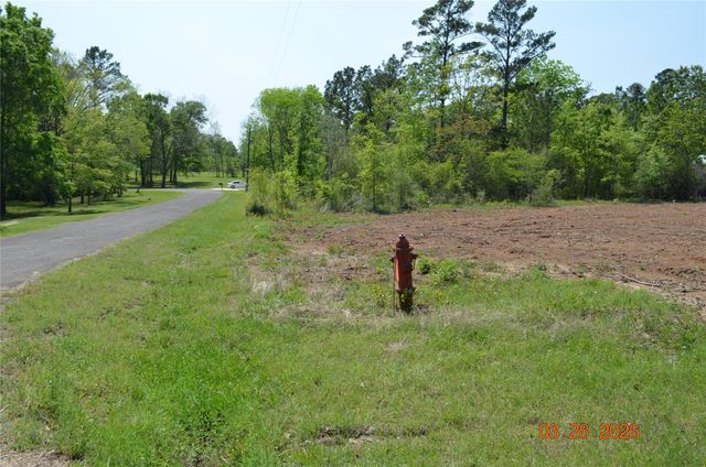 TBD Laurel Drive, Livingston, TX 77351