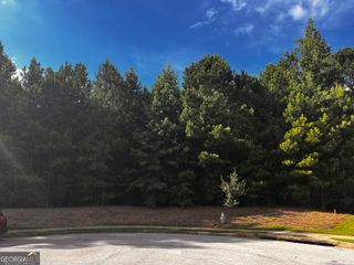 262 Tapestry Drive, Mcdonough, GA 30252