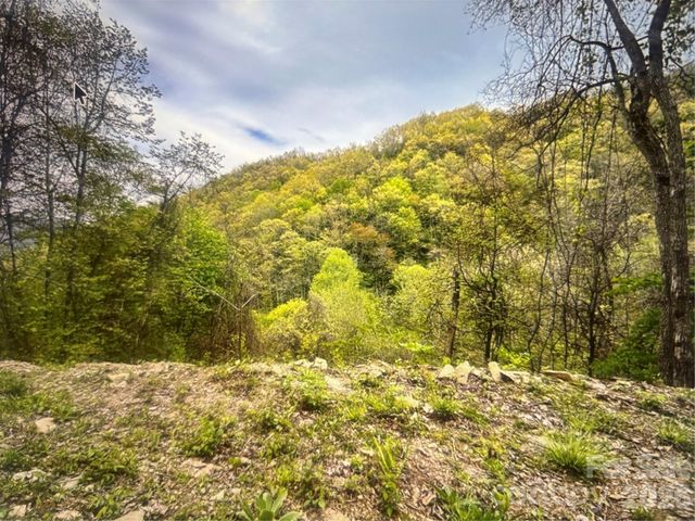 0 Huckleberry Walk 61, Bryson City, NC 28713