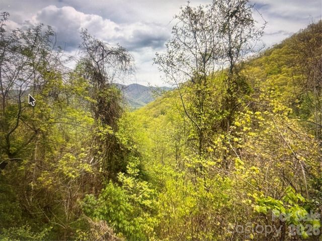 0 Huckleberry Walk 61, Bryson City, NC 28713
