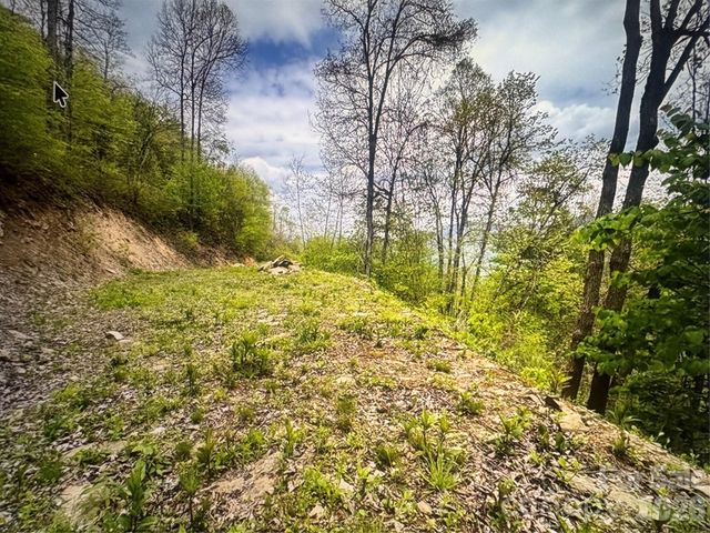 0 Huckleberry Walk 61, Bryson City, NC 28713
