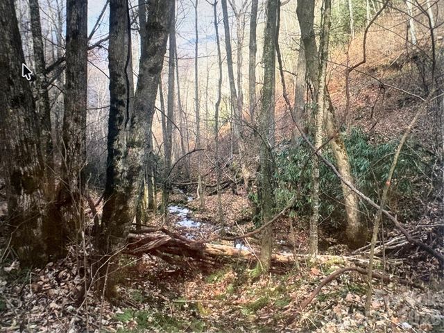 0 Huckleberry Walk 61, Bryson City, NC 28713
