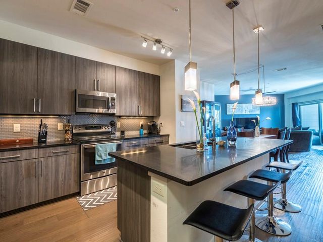 3600 S Lamar BLVD 306, Austin, TX 78704