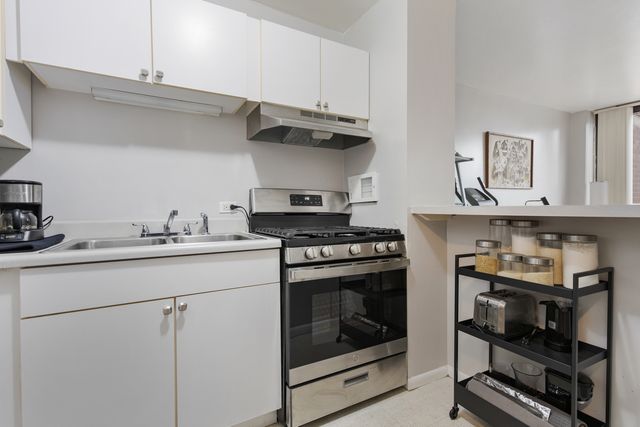 2921 S Michigan Avenue 308, Chicago, IL 60616