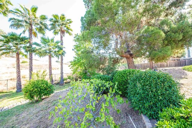 2432 Live Oak Road, Escondido, CA 92029