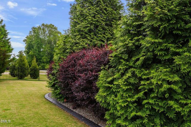 221 Misty Moonlight, Willow Springs, NC 27592