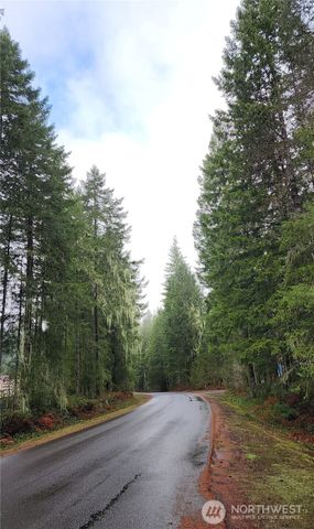 51 N Cod Place, Hoodsport, WA 98548